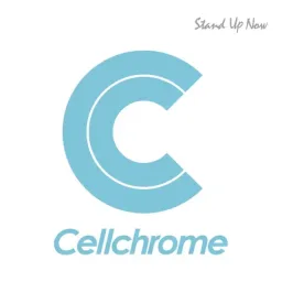 Cellchrome - Stand Up Now [Opening Konbini Kareshi].mp3