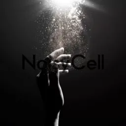 NoisyCell - Innocence [Ending Barakamon].mp3