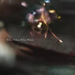 Ling Tosite Sigure - Who What Who What [Opening Psycho Pass Movie].mp3