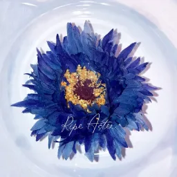 Kairi Yagi - Ripe Aster [Theme Song Mahouka Koukou no Rettousei: Tsuioku-hen].mp3
