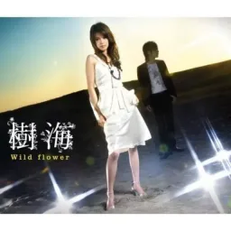 Jyukai - Hikari [Ending EP14 Fate stay/night].mp3