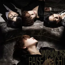 WANDS - RAISE INSIGHT [Opening 57 Detective Conan].mp3