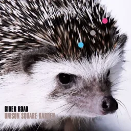 UNISON SQUARE GARDEN - Chandelier Waltz [Ending Yozakura Quartet: Tsuki ni Naku].mp3