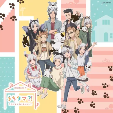 Kitty’s cutie  - Single