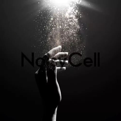 NoisyCell - Innocence [Ending Barakamon].mp3