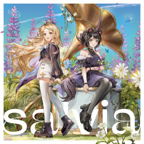 salvia 커버 이미지