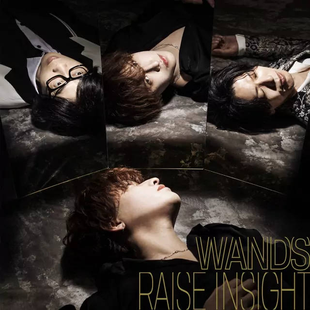 WANDS - RAISE INSIGHT [Opening 57 Detective Conan].mp3