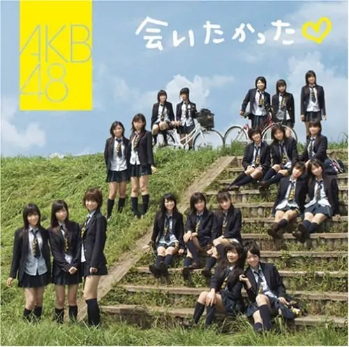 AKB48 - Aitakatta.mp3